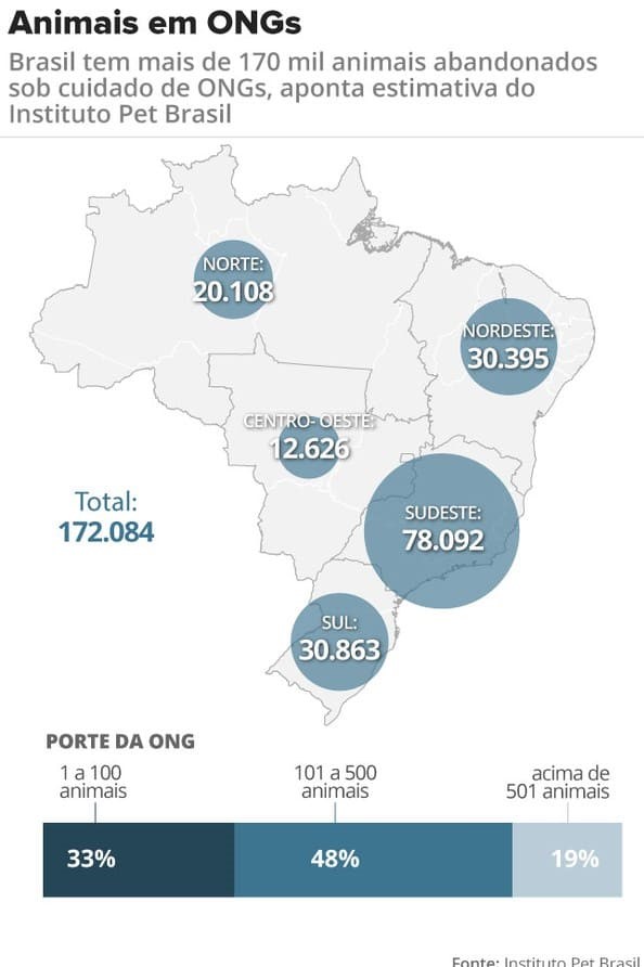 Animais abandonados no Brasil