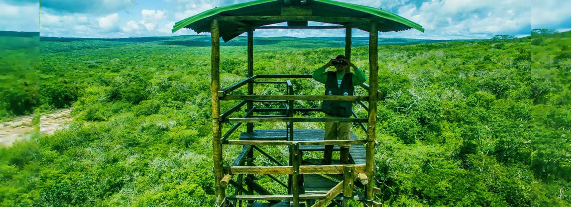 trabalho voluntário em fortaleza