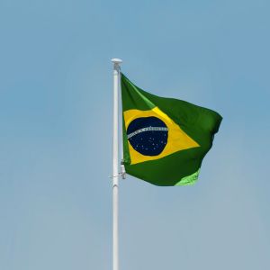 Brazilian Non Profit Managers you Should Know